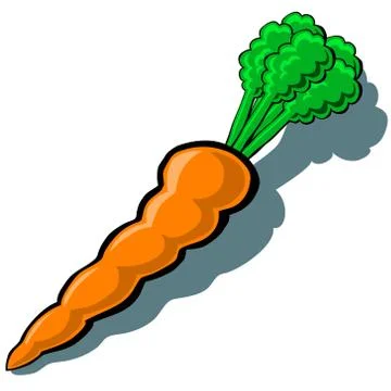 Carrot Stock Illustration