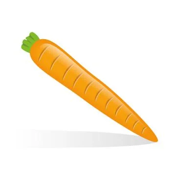 Carrot Stock Illustration