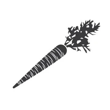 Carrot Stock Illustration