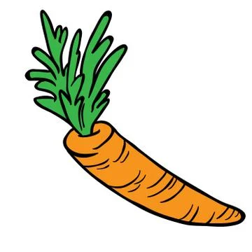 Carrot Stock Illustration