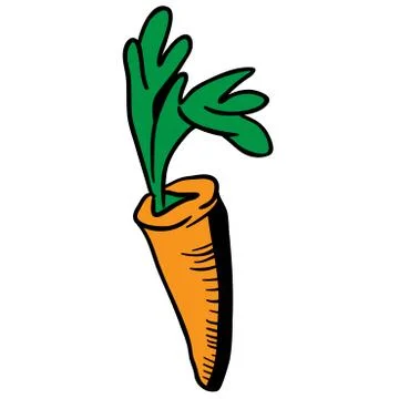 Carrot Stock Illustration