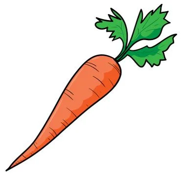 Carrot Stock Illustration