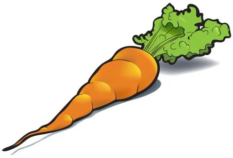 Carrot Stock Illustration