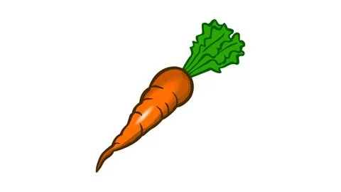 Carrot Stock Illustration