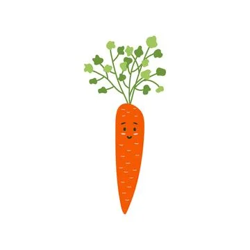 Carrot Stock Illustration