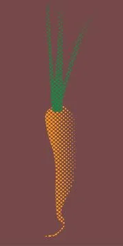 Carrot Illustrazione stock
