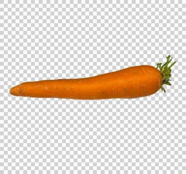 Carrot on isolate 001 Stock Photos