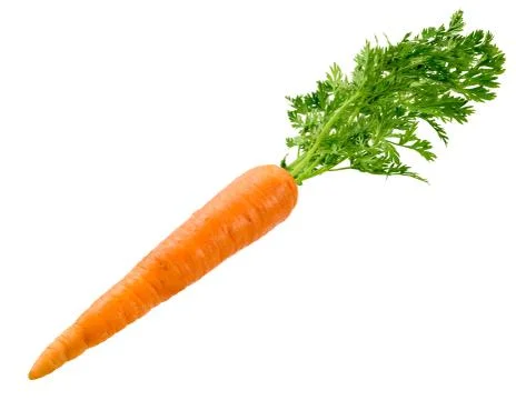 Carrot isolated Foto stock