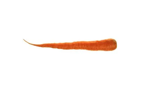 Carrot isolated Stock Photos