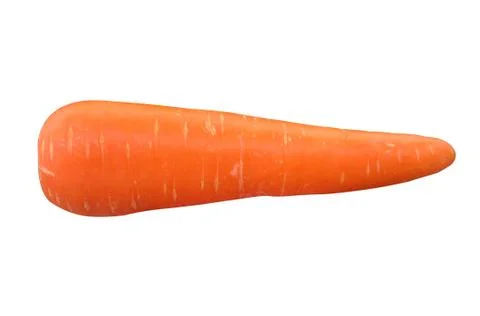 Carrot isolated on white background. Stock Photos