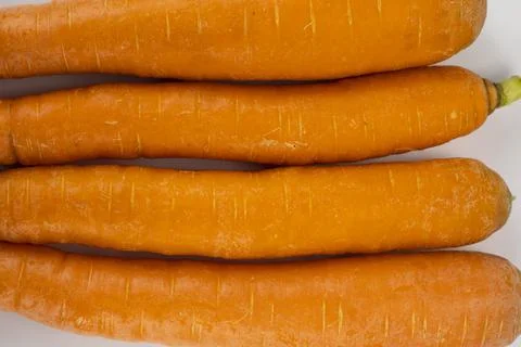 Carrot isolated on white background Stock Photos