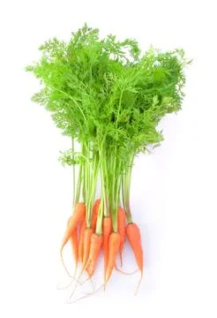 Carrot with leaf on white background Stock Photos