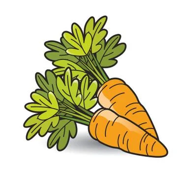 Carrot with leaves Stock Illustration