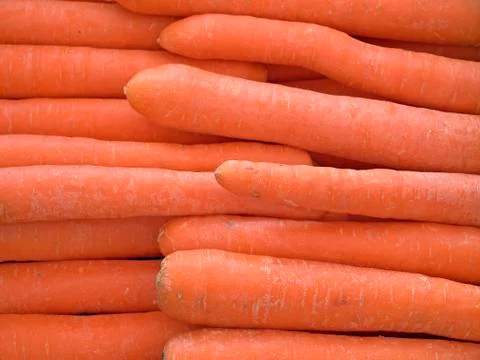 Carrot Stock Photos