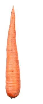Carrot Stock Photos