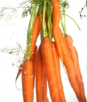 Carrot Foto stock