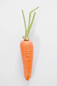 Carrot Stock-Fotos