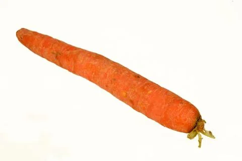 Carrot Stock Photos