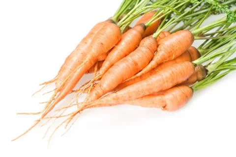 Carrot Stock Photos