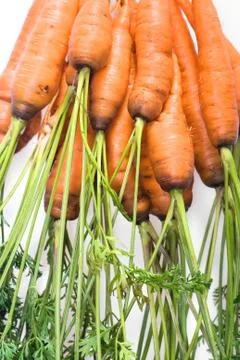 Carrot Stock Photos