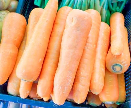 Carrot Stock Photos