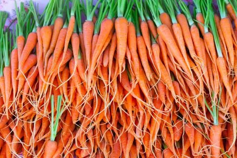 Carrot Stock Photos