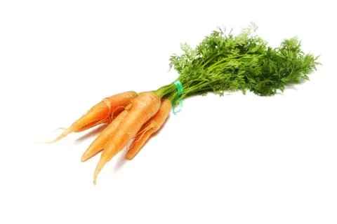 Carrot Stock Photos