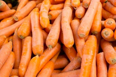 Carrot Stock Photos