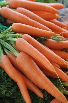 Carrot Stock Photos