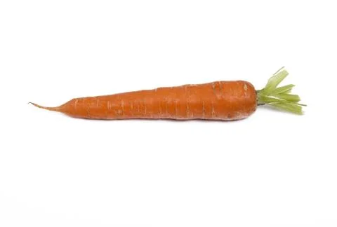 Carrot 库存照片