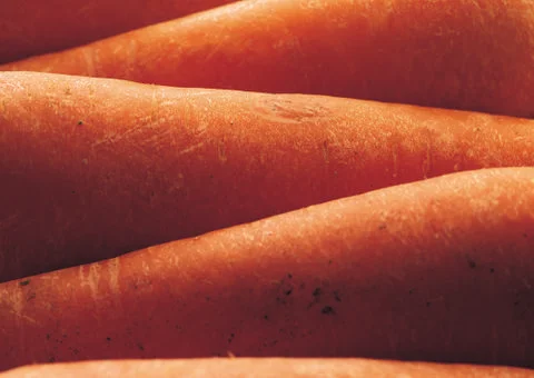 Carrot Stock Photos