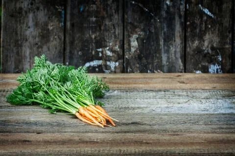 Carrot Stock Photos