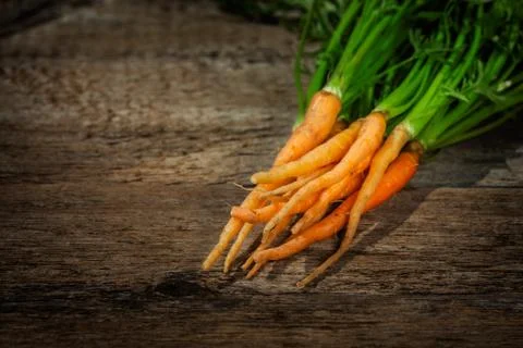 Carrot Stock Photos