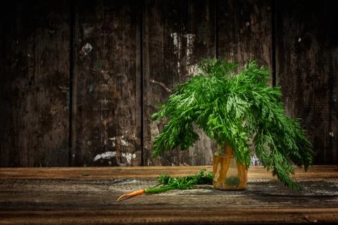 Carrot Stock Photos