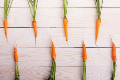 Carrot Stock Photos