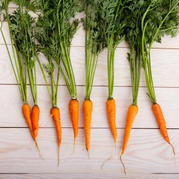 Carrot Stock Photos