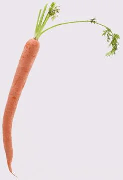 Carrot Stock-Fotos