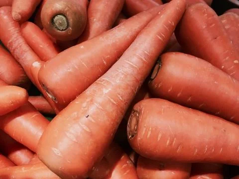 Carrot Stock Photos