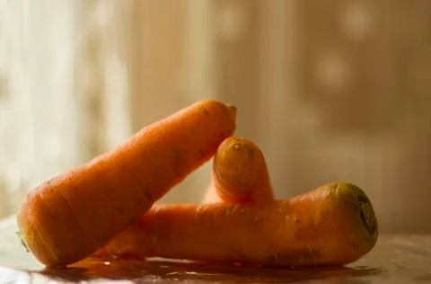 Carrot Stock Photos