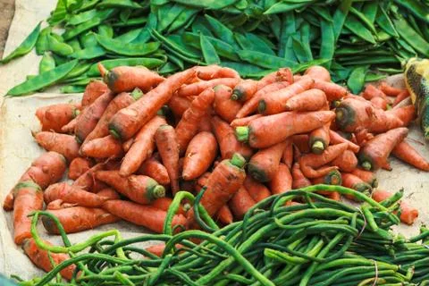 Carrot Stock Photos