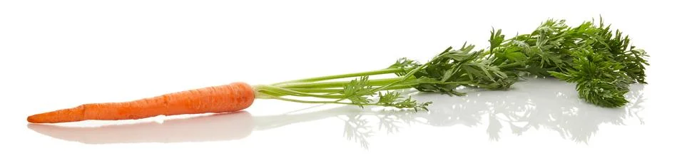Carrot Foto stock