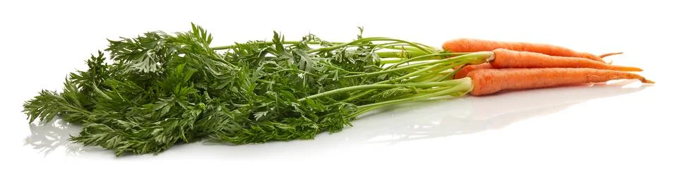 Carrot Stock Photos