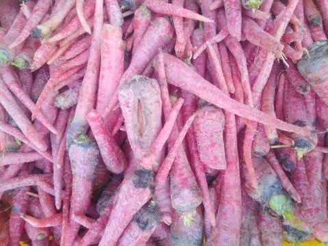 Carrot  Stock Photos
