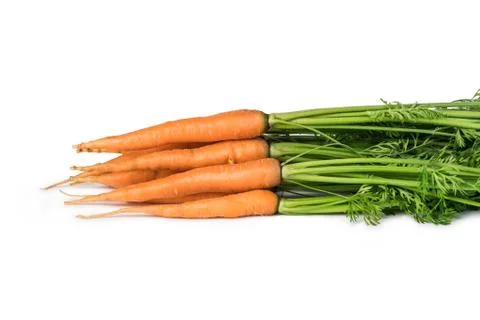 Carrot Stock Photos