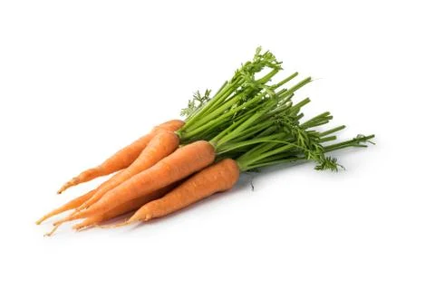 Carrot Stock Photos