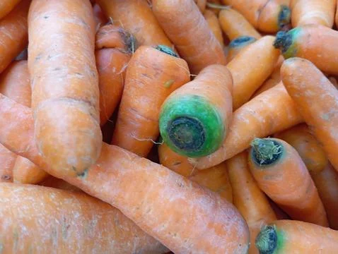 Carrot 库存照片