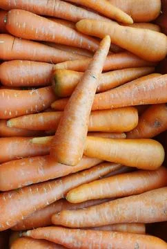 Carrot Stock Photos