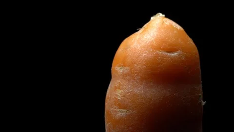 Carrot in rotation on black background. Stock Footage 98763717