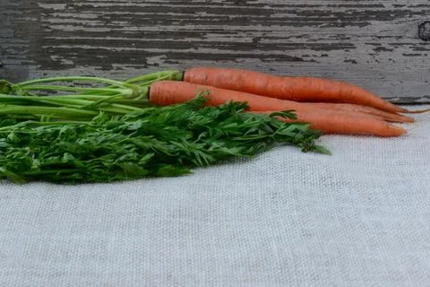 Carrot with rustic background Stock Photos