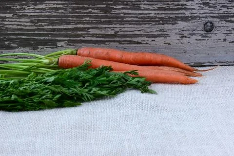 Carrot with rustic background Stock Photos
